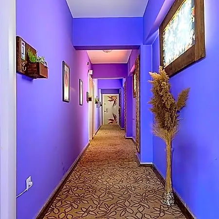 فندق Sahra 3*